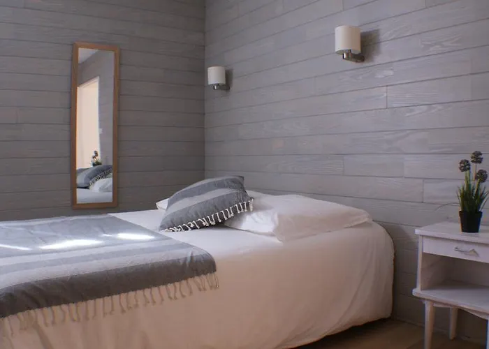 酒店 车站酒店 巴约讷